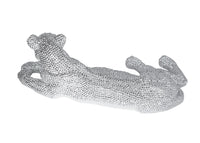 Laying Silver Leopard