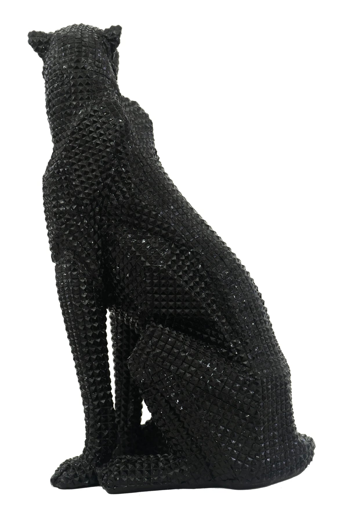 Sitting Studded Black Leopard