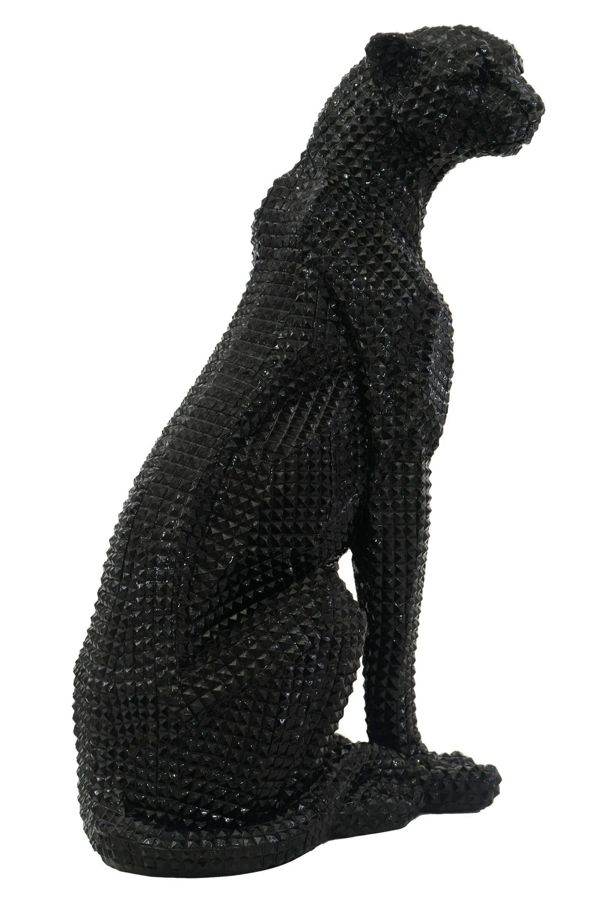 Sitting Studded Black Leopard