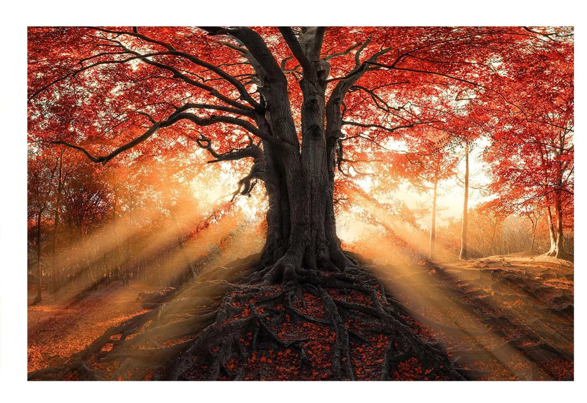 Red tree