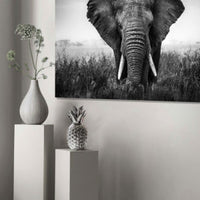 DECORATION